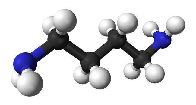 di-etilen-glikol - Di Etilen Glikol organik bir bileşiktir.Tatlımsı tadı hemen hemen kokusuz renksiz bir sıvıdır